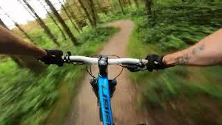 Cannock Chase - Follow the dog - Son of a chain slapper!