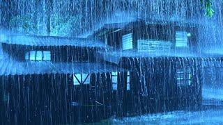 You Will Fall Into A Deep Sleep Within 3 Minutes  Heavy Rainstorm & Thunder Growls At Night