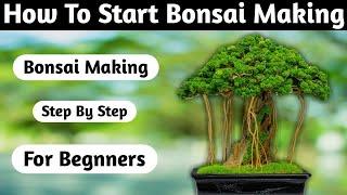 Bonsai Styling Secrets for Beginners: Master the Art