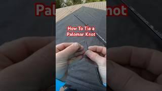 The Knot I Use Most that Never Let's Me Down #fishing #bassfishing