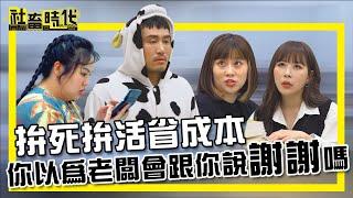 【社畜時代】拚死拚活省成本 你以為老闆會跟你說謝謝嗎｜EP.321  @fanfanloveuu   @思綾  郭文頤 張洋洋洋 小美 英國捲毛貓