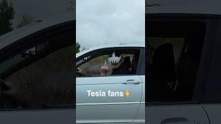 TESLA fans HATES this...