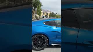 Mustang 