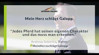 Mein Herz schlägt Galopp - Im Rennstall von Andreas Suborics