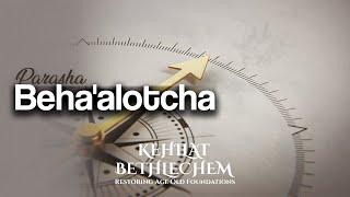 Torah Portion | Beha'alotcha - בְּהַעֲלֹתְךָ | When you set up