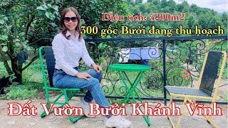 Bán Đất Vườn Bưởi Tại Khánh Vĩnh | Giá 420k/m2 | Đất Nền Nha Trang - Kim Huyền BĐS 79