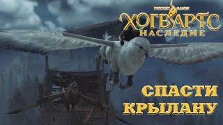 Hogwarts Legacy. Хогвартс Наследие Как открыть главные ворота для Натти. Полное прохождение задания.