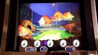 Reel Em In Big Bass Hole Bonus Slot Win