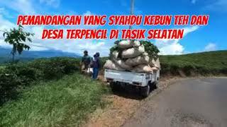 Pemandangan yang syahdu kebun teh dan desa terpencil di Tasik Selatan#pemandanganpegunungan