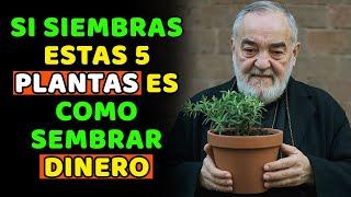 Padre Pío: Planta Estas 5 PLANTAS en tu Casa AHORA para atraer mucho Dinero