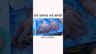이게 얼마라고요?ㄷㄷㄷ 삼척번개시장 가격