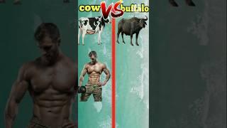 गाय vs भैंस Cow vs Buffalo #shorts #buffalo