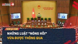 Tổng Quan Các Luật Vừa Được Quốc Hội Thông Qua | LuatVietnam.vn