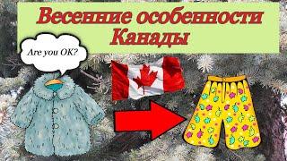 Март. Особенности канадской весны. Жизнь в Торонто.