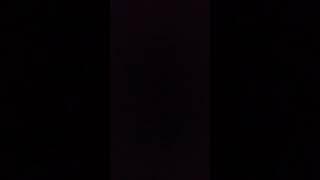 Zil Sesim - Cengiz Kurtoğlu - Gelin Olmuş Gidiyorsun