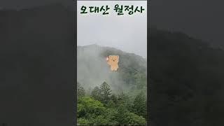 오대산 월정사