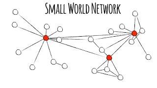 The Pattern in Nature's Networks
