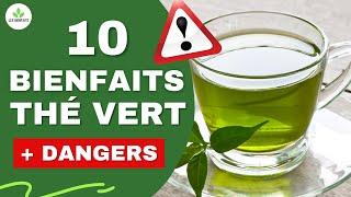 THÉ VERT : SES 4 DANGERS ET 10 BIENFAITS QUE VOUS IGNOREZ (