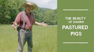 How Pigs Can Give You Beautiful Pastures | Joel Salatin