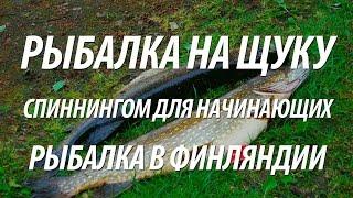 КАК ЛОВИТЬ ЩУКУ НА СПИННИНГ ДЛЯ НАЧИНАЮЩИХ. РЫБАЛКА В ФИНЛЯНДИИ НА ЩУКУ