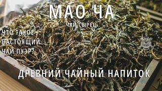 ЧТО ТАКОЕ НАСТОЯЩИЙ ЧАЙ ПУЭР? Ч.3: Изготовление чая пуэр. Чайный сырец или Мао Ча . Podarkivostoka