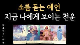 [타로] 앞으로 나에게 들어오는  예상 밖의 천운, 소름돋는 예언