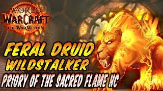 Feral Druid Dps -The War Within -POV - Heroic Priory of the Sacred Flame - Build Wildstalker #feral