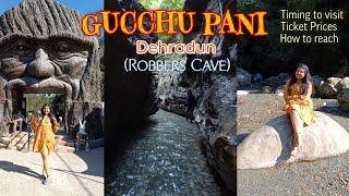 Robber's Cave | Gucchu Pani | Dehradun | Vlog | Timing, Ticket price, Best time to visit | #dehradun