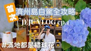 【VLOG】濟州島5天4夜自駕自由行超全攻略! 人生最好吃烤黑豬肉？海景&橘子咖啡廳 /繡球花季/住宿推薦｜2024 Jeju island