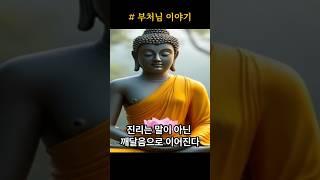 #부처님의연꽃 #깨달음 #부처님말씀 #불교이야기