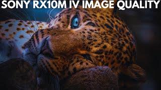 Sony RX10M IV  Sample Photography - Image Quality