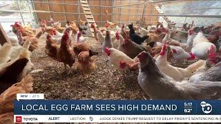 Local egg farmer sees more demand amid egg shortage