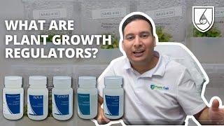 How To Use Plant Growth Regulators For Plant Tissue Culture