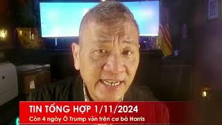 TIN TỔNG HỢP 1/11/2024