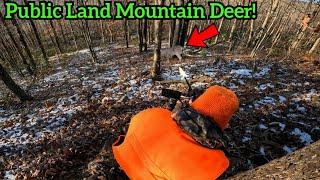 PA RIFLE HUNTING DEER SEASON SUCCESS! Public land PA rifle deer hunting!