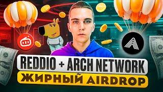 REDDIO И ARCH NETWORK : ПОЛУЧАЕМ AIRDROP ЗА ТЕСТНЕТ | Без Вложений | testnet airdrop