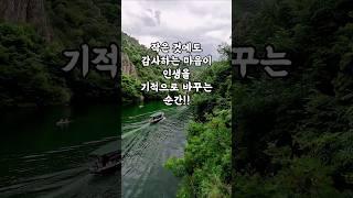 작은 것에도 감사하는 마음이 인생을 기적으로 바꾸는 순간.