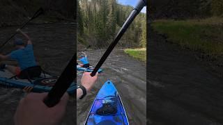 Сплав на сапборде по Есауловке #походник #сапборд #сплав