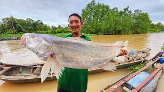 Cảnh Tượng Mọi Người Hốt Hoảng Khi Ngư Dân Dính Cá Khủng | #66TV #fishing