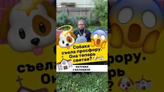  Почемучка с батюшкой #почемучка #отношения #семья #любовь #юмор #религия #православие