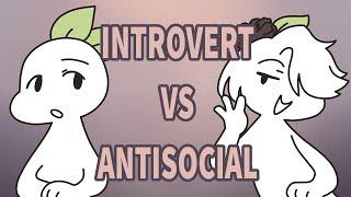 Introvert VS Antisocial, Here are the Differences