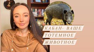 Кабан (вепрь) - ваше тотемное животное# духовный проводник#