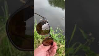 TESTING MY NEW FISHING SHADES! | Korda 4th Dimension Shoreditch Glasses #Shorts