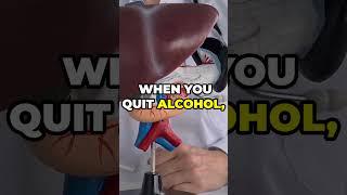 How to Quit Alcohol – Benefits for You  @Liver_AI  #facts #liverwellness #liverdisease