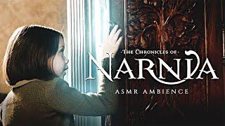 The Chronicles of Narnia  ASMR Ambience & Soft Music ◈ Rain & Snow Sounds ◈ Into the Wardrobe