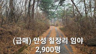 ( 매물번호 003 ) 안성 칠장리 임야 2,900평 ( 보존관리, 농림지역 ) 급매 010 3414 6639