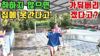 그녀들의 야심찬계획에 어처구니가 없네요 (kiengiangtv)