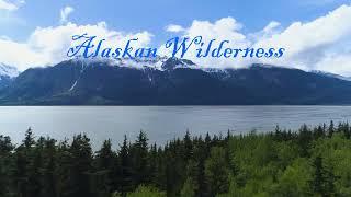 The  Alaskan Wilderness (  Music: Dimension 5 - Kim Aspen Courtesy of Epidemicsound.com )