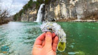 Fly Fishing INCREDIBLE Trout Water for 4 Days! (Tennessee Trout Fishing)