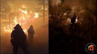 ODE: The self-organized forest firefighting unit that needs your help